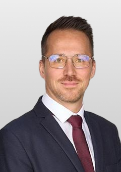 Bicskei László portréja