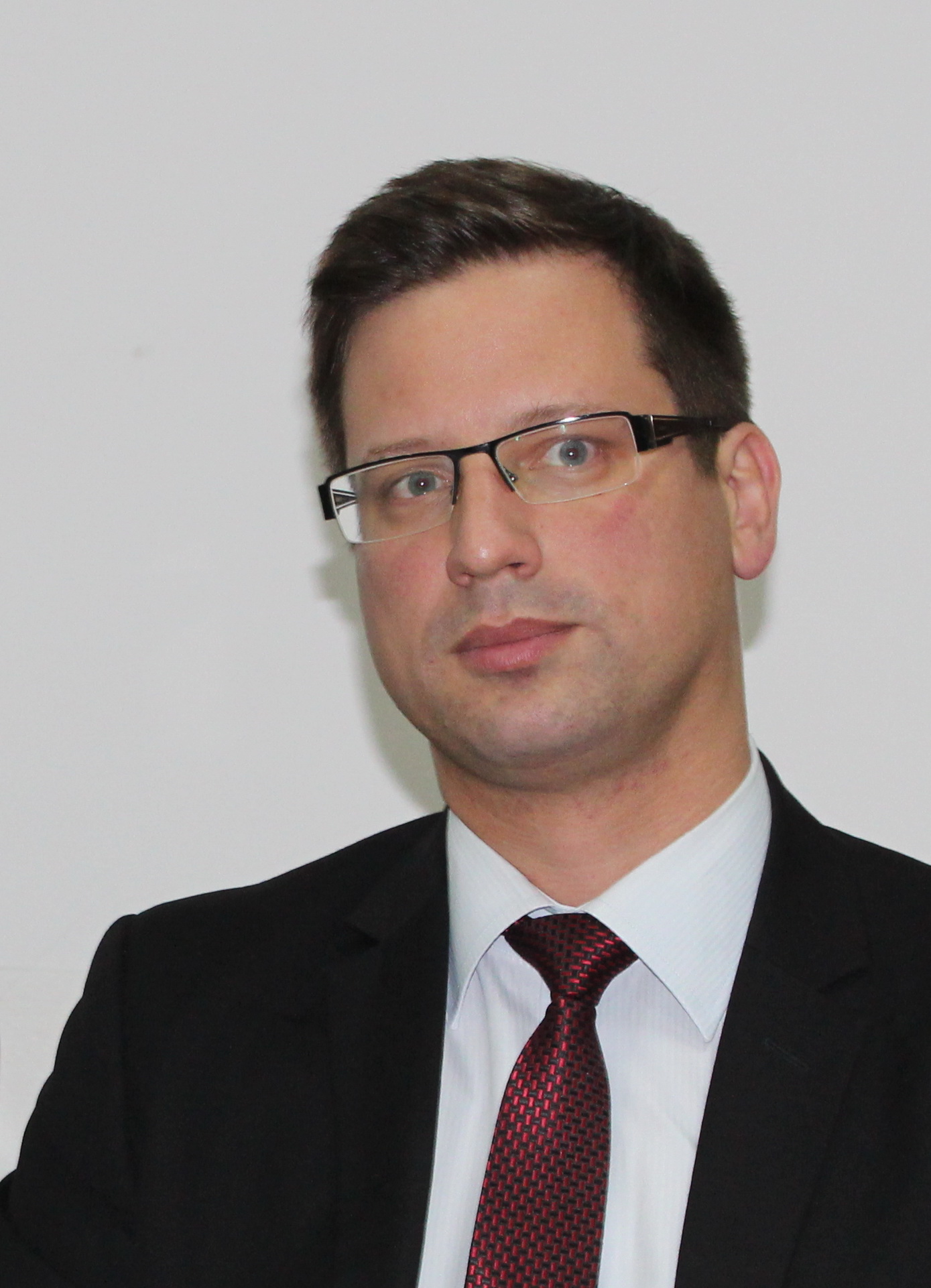 Gulyás Gergely portréja