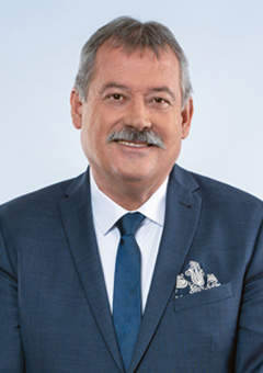 V. Németh Zsolt portréja